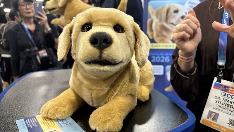 機器狗Jennie (圖)