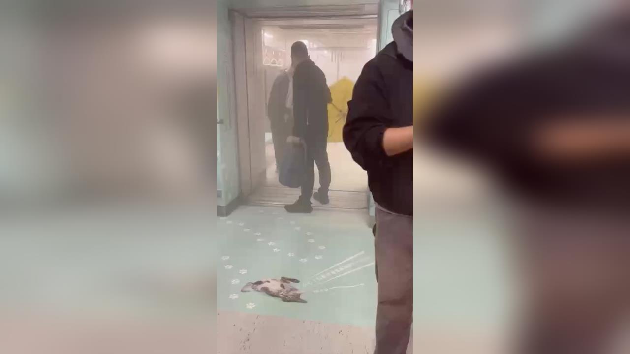 最新／北捷板南線起火！乘客倉皇逃生　疑為行動電源自燃