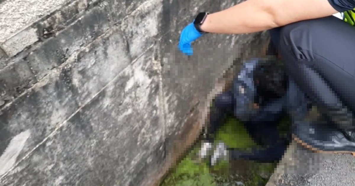 十字路口2機車猛撞！16歲男慘摔水溝 重傷昏迷