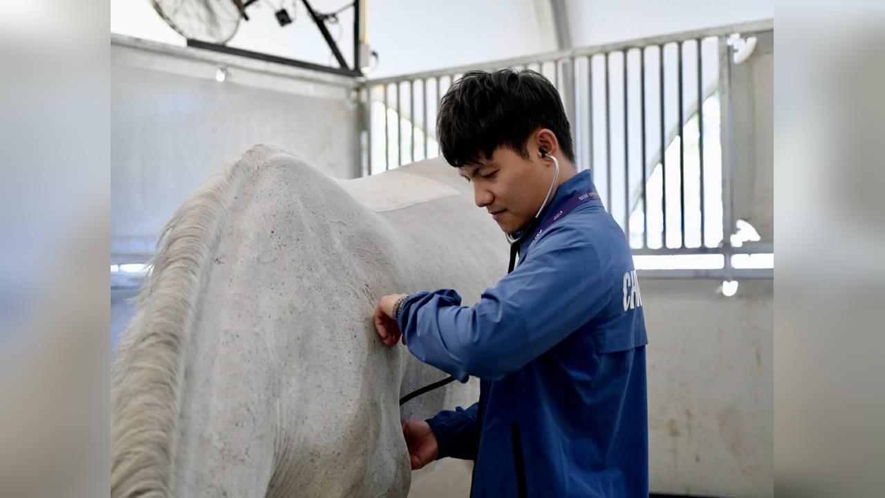 從音符中蛻變的專業獸醫！台灣隊「核心人物」李曜年成選手最堅強後盾