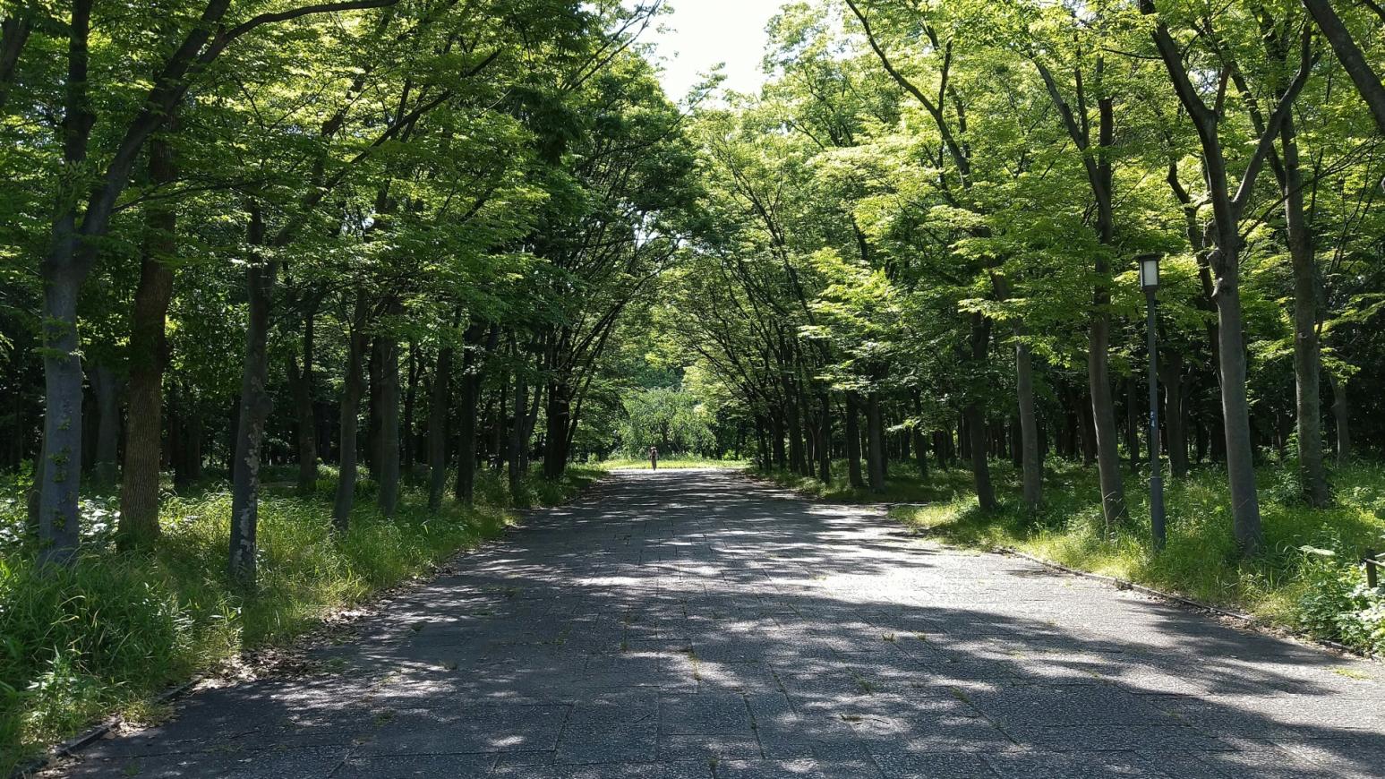 靈異錯別字/河堤轉角詭異失蹤1分鐘　女同學變成另一個人