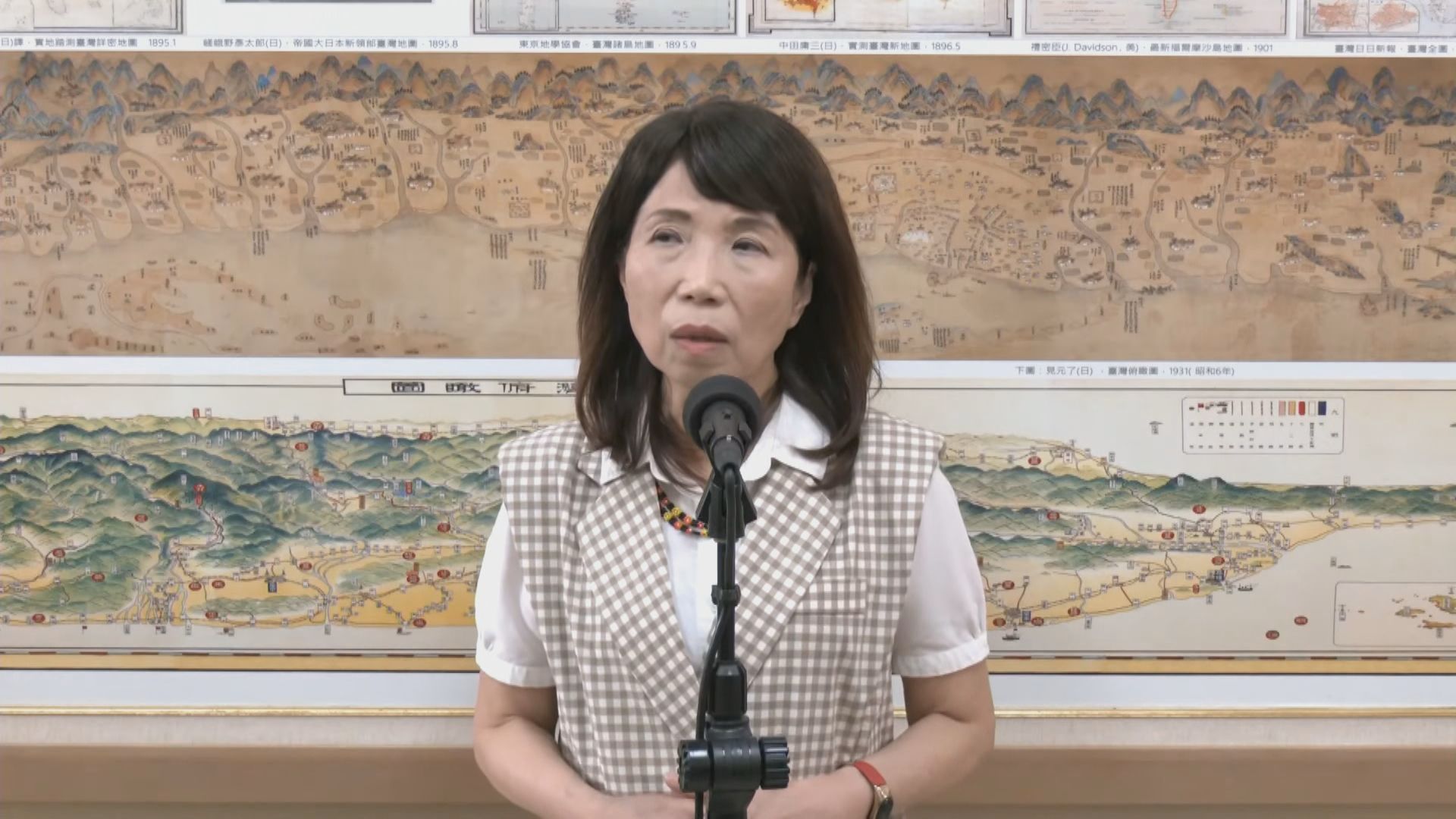 立院今審人工生殖法　陳昭姿喊話綠營：勿再阻擋代孕法制化