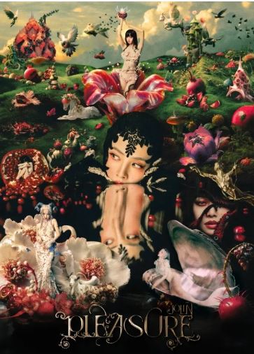 遭梁曉珺搬中國法規反擊！蔡依林硬起來不忍了　中國巡演正式官宣開唱