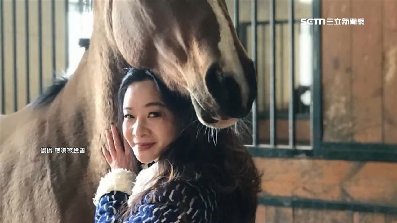 遭傳花500萬買馬是不法所得？應曉薇找前飼主澄清