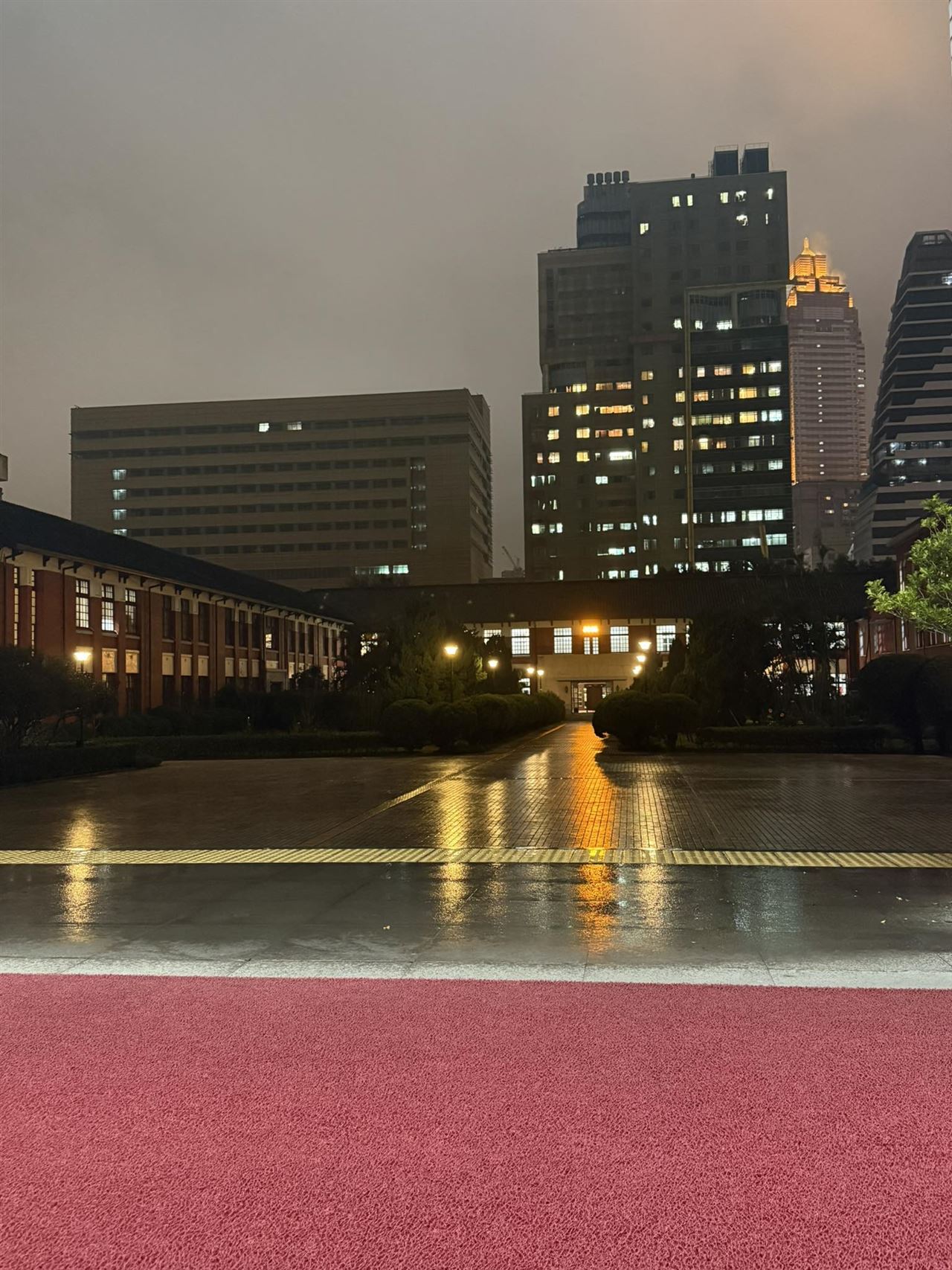 拚2日總預算付委　陳培瑜「不畏濕冷」深夜議場排隊：民進黨堅持到底