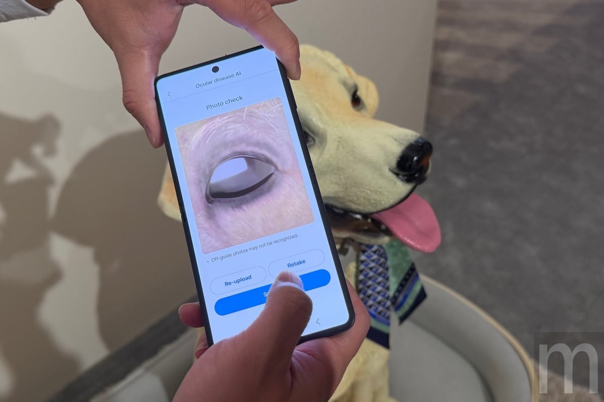 三星利用Galaxy AI協助判斷家中貓、狗身體狀況，透過手機拍攝即可判斷