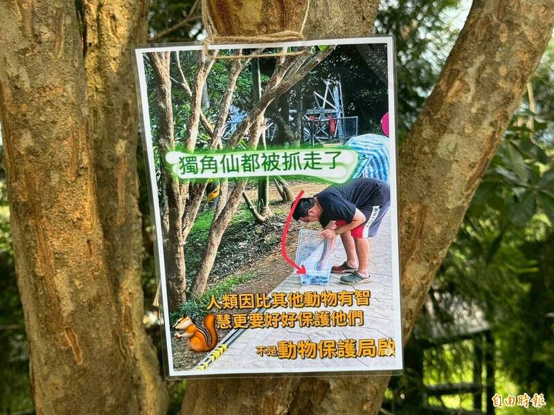 大坑一票人想看獨角仙卻被「整箱打包」！狂抓20多隻照片曝光引公憤