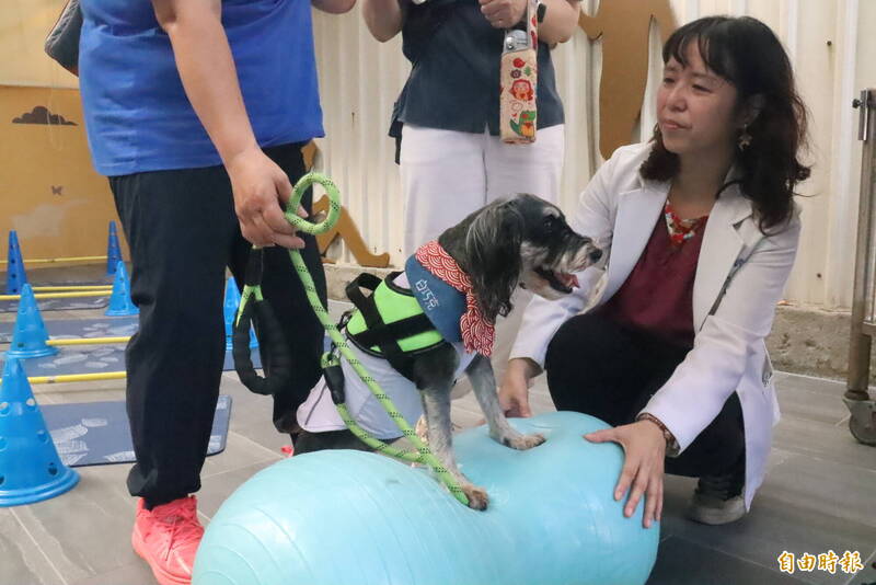 新北打造首座動物長照園區 中和動物之家為高齡毛寶貝安心終老