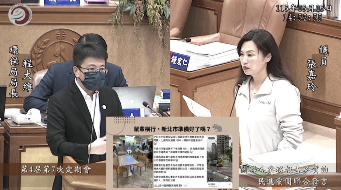 鼠患燒新北？張嘉玲曝「老鼠現蹤中和」：餵流浪貓狗的食物變老鼠自助餐