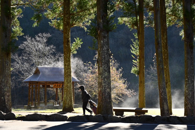 武陵農場白霧蒸騰　虛無縹緲宛如仙境 (圖)